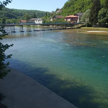 Apartman Alfa *