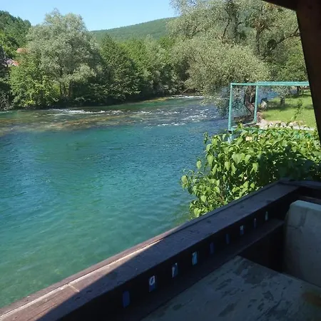 Apartman Alfa