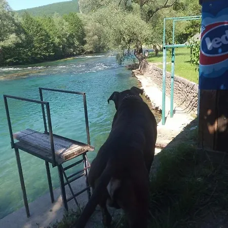 Alfa Apartman *
